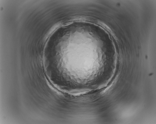 X0000071841433200606301301