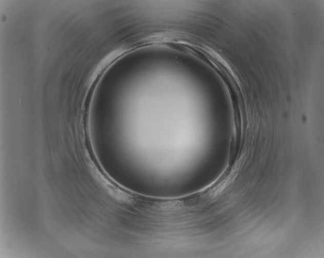 X0000071841434200606301301