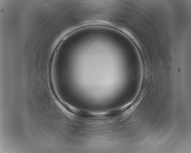 X0000071841438200606301301