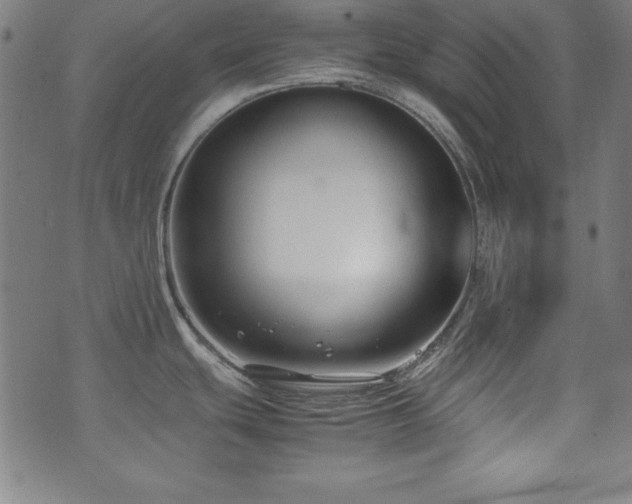X0000071841439200606301301