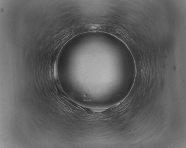 X0000071841442200606301300