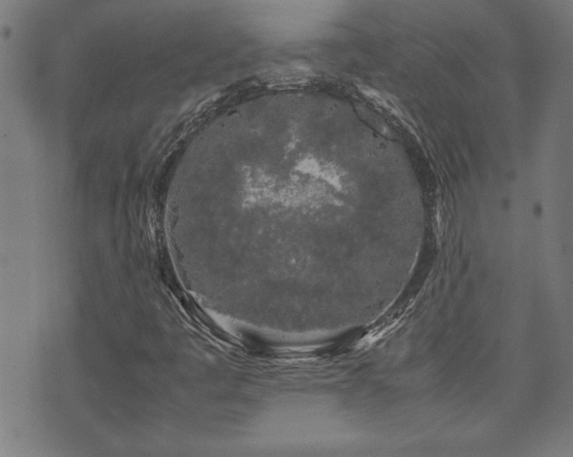 X0000071841445200606301300