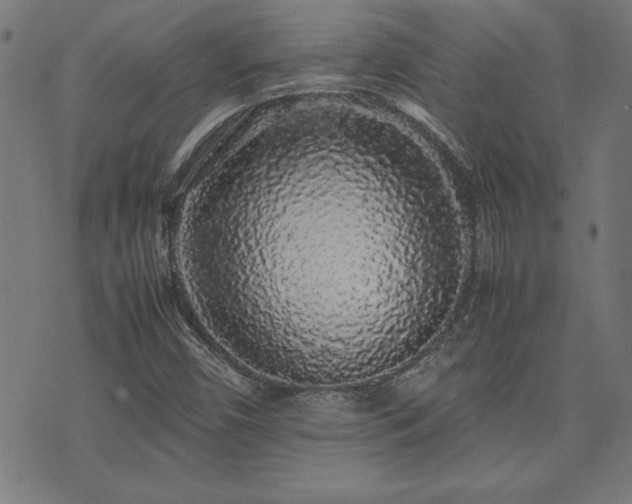 X0000071841450200606301300