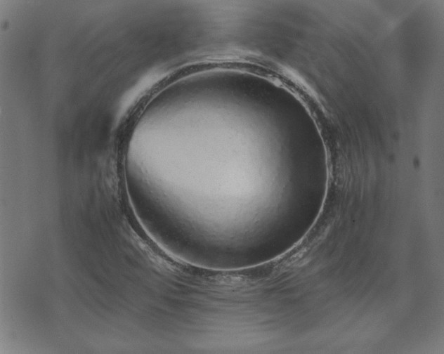 X0000071841456200606301300