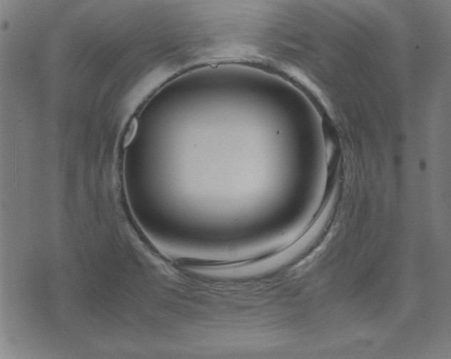 X0000071841469200606301300