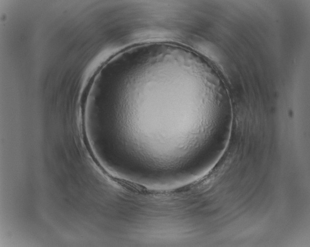 X0000071841472200606301300