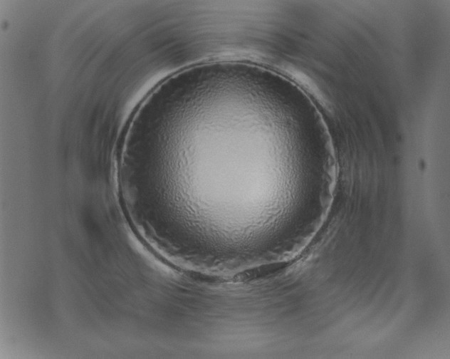 X0000071841476200606301300