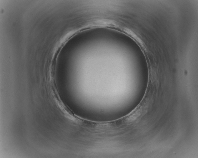 X0000071841477200606301300
