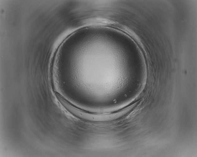 X0000071841488200606301300