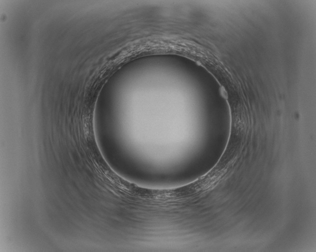 X0000071841490200606301259