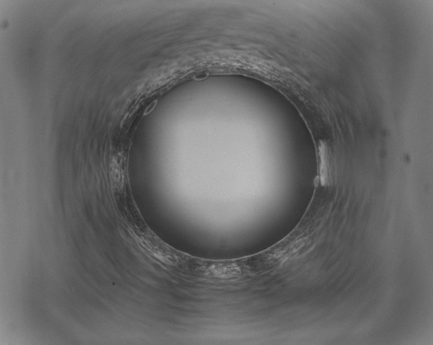 X0000071841491200606301259