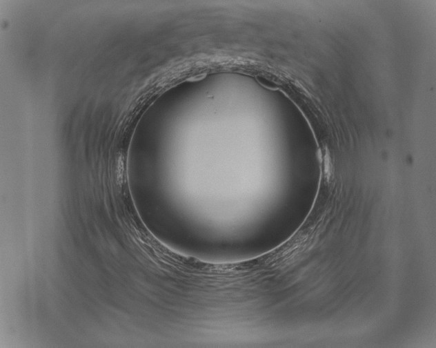 X0000071841492200606301259