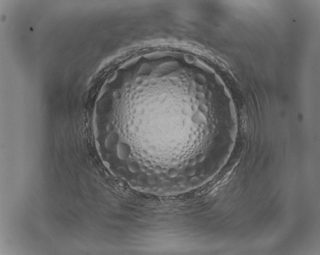 X0000071841494200606301259