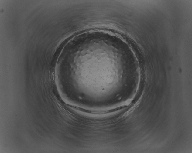 X0000071841497200606301259