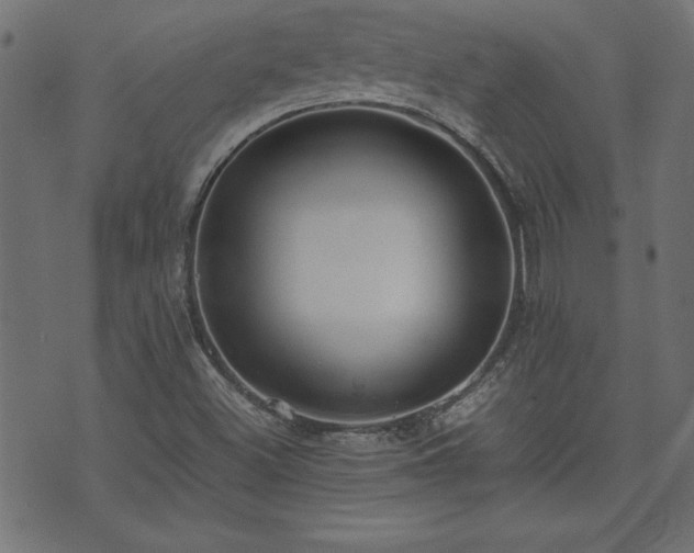 X0000071841500200606301259