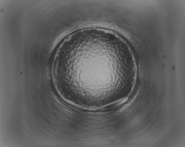X0000071841501200606301259
