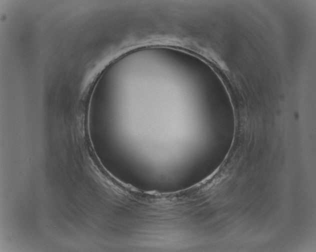 X0000071841504200606301259