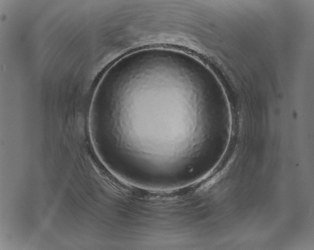 X0000071841505200606301259