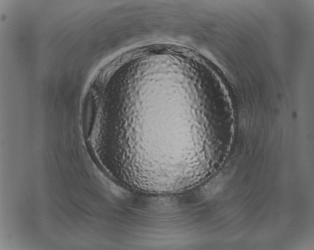 X0000071841508200606301259