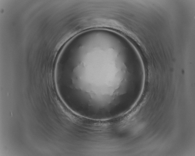 X0000071841513200606301259