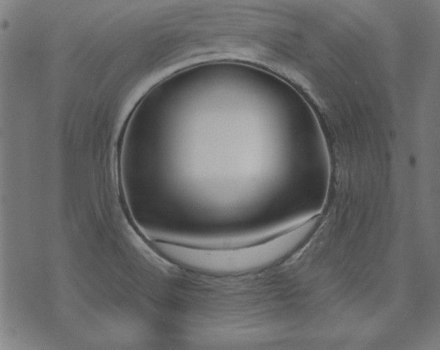 X0000071841516200606301259