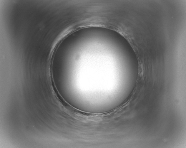 X0000071840004200607072247