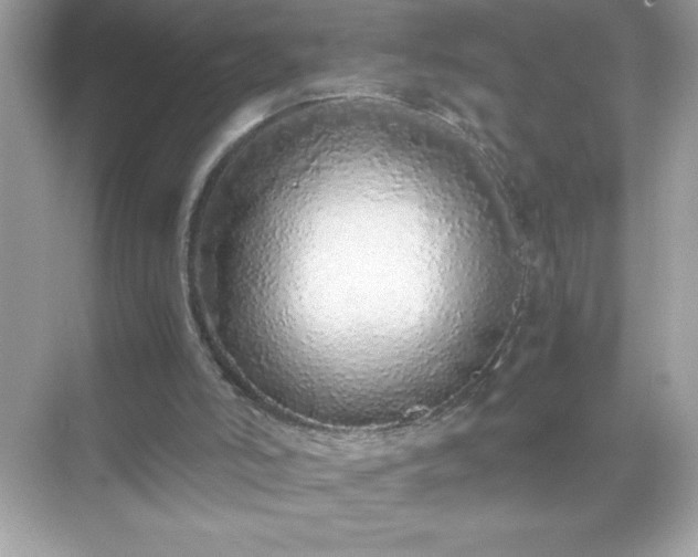 X0000071840006200607072247
