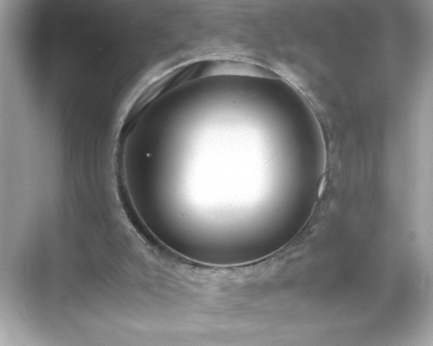 X0000071840007200607072247