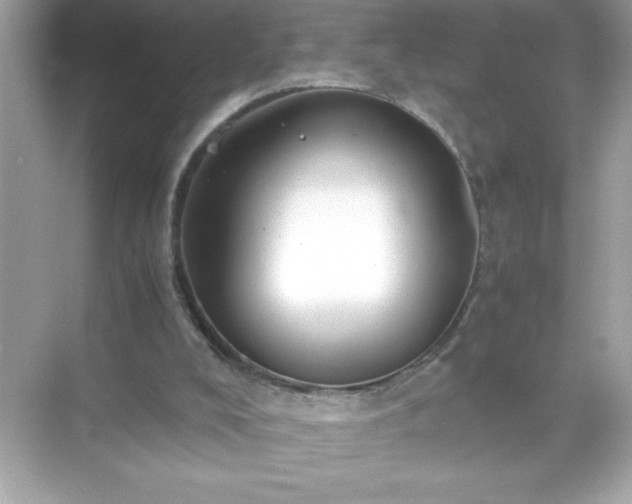 X0000071840008200607072247