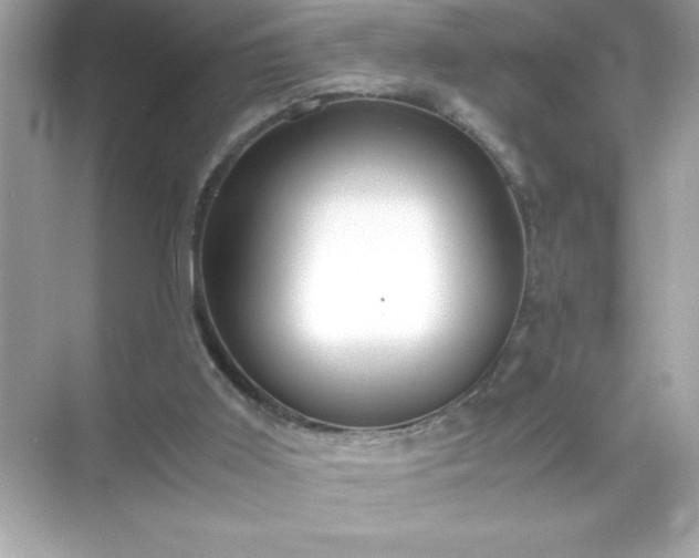 X0000071840011200607072247