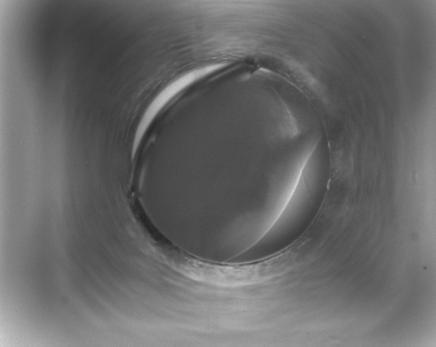 X0000071840027200607072247