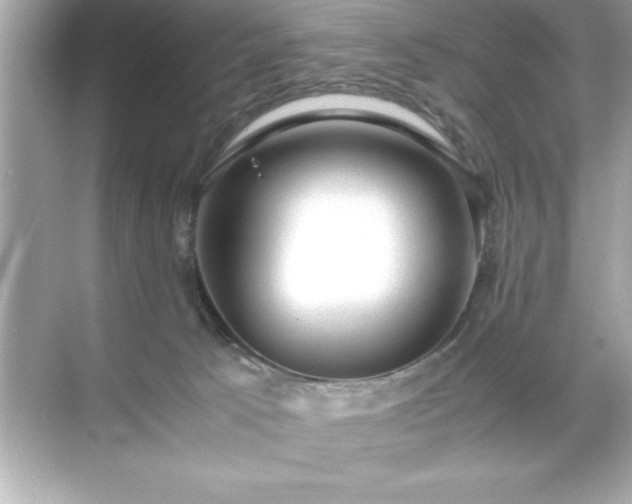 X0000071840033200607072247