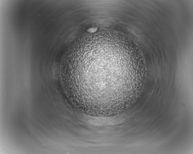 X0000071840034200607072247