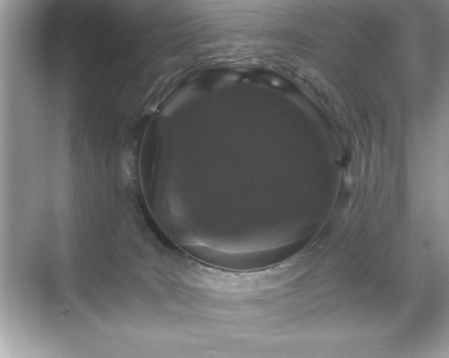 X0000071840035200607072247