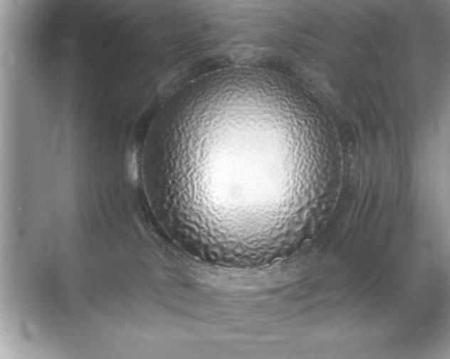 X0000071840042200607072247