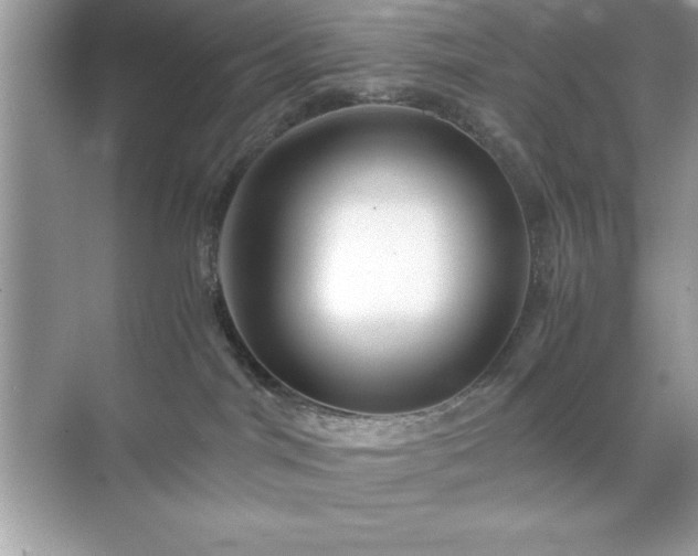 X0000071840044200607072247