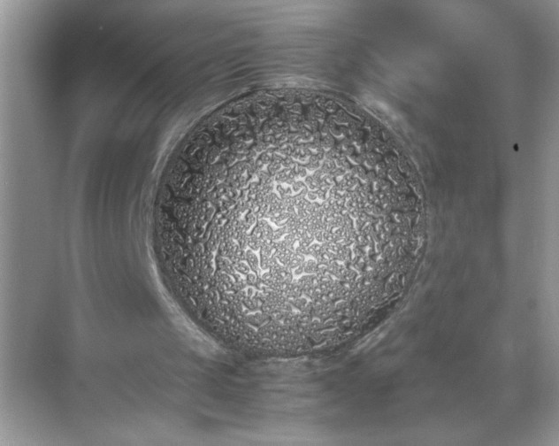 X0000071840049200607072246