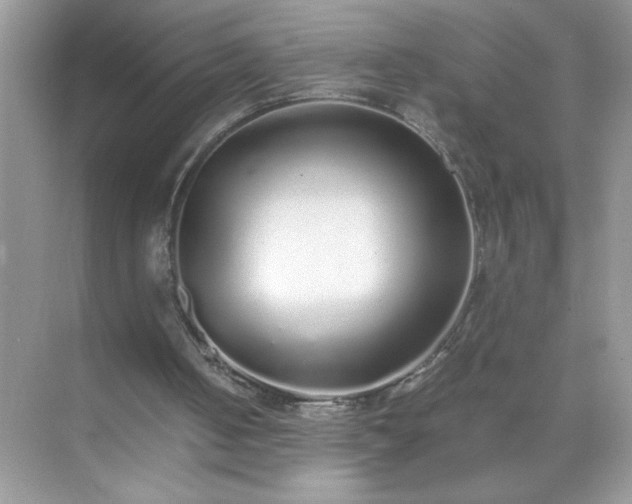 X0000071840050200607072246