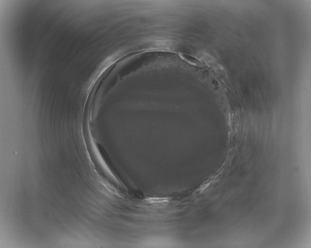 X0000071840051200607072246
