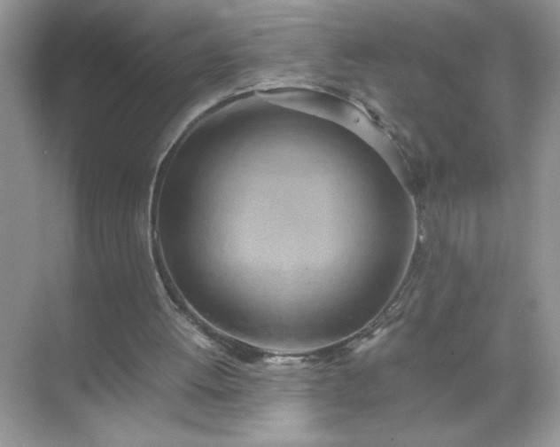 X0000071840052200607072246