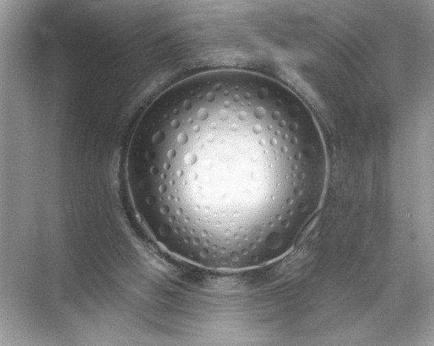 X0000071840058200607072246