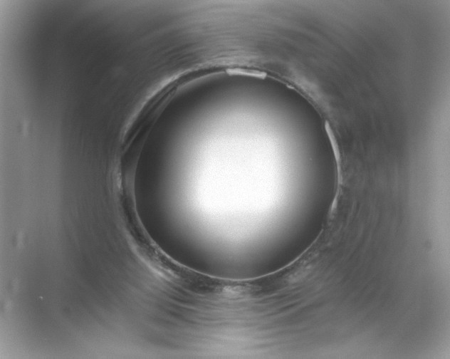 X0000071840060200607072246
