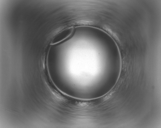 X0000071840062200607072246