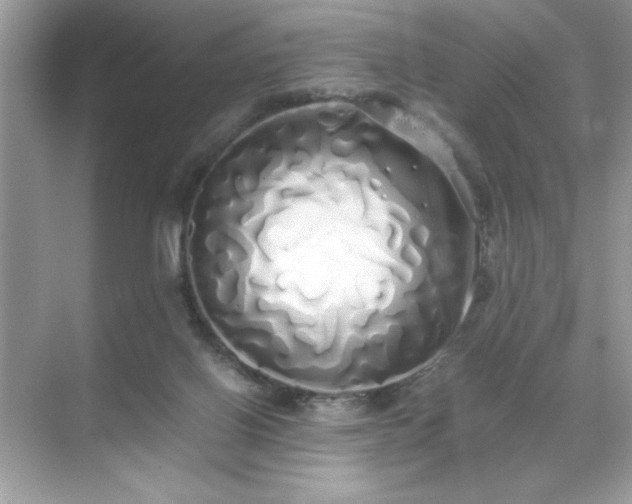 X0000071840070200607072246