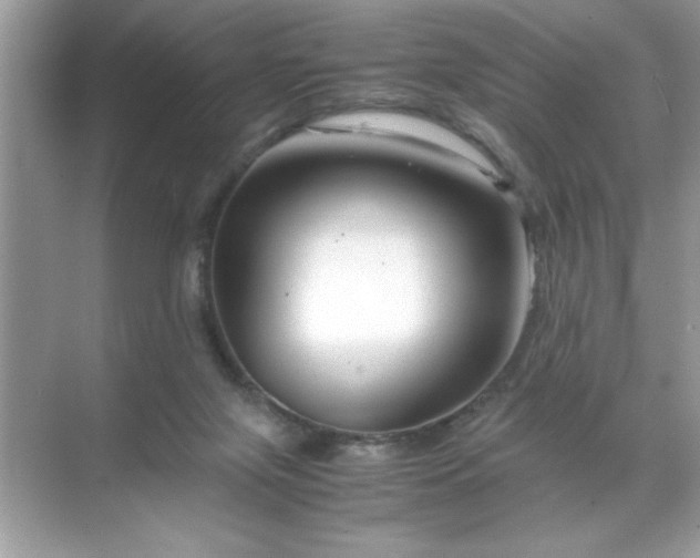 X0000071840071200607072246