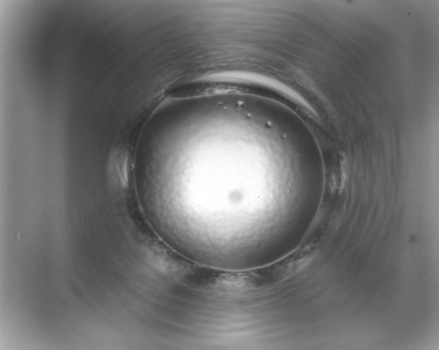 X0000071840076200607072246