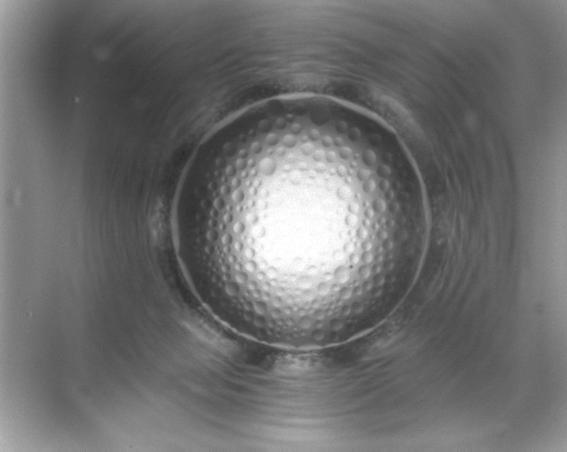 X0000071840077200607072246
