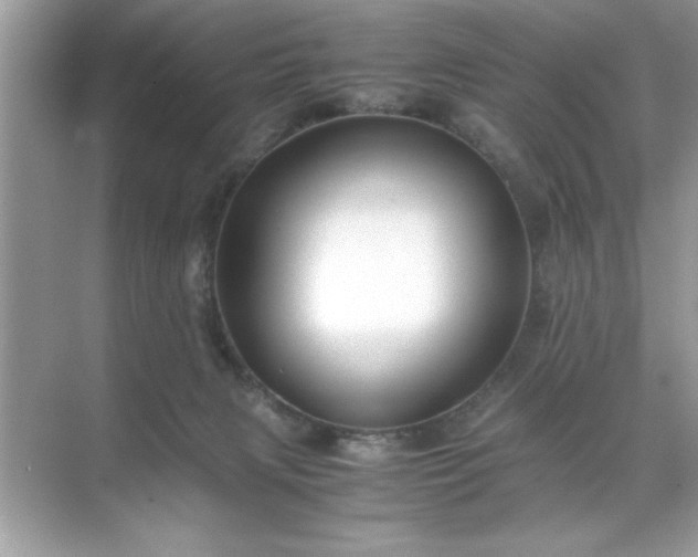 X0000071840079200607072246
