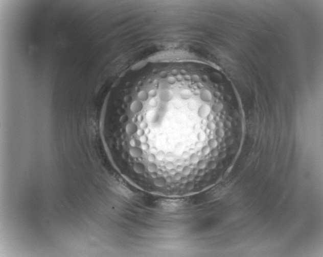 X0000071840085200607072246