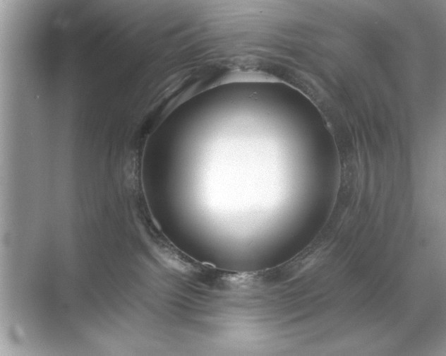 X0000071840092200607072247